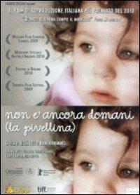 Non è ancora domani (La Pivellina) di Tizza Covi,Rainer Frimmel - DVD