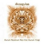 Aurum Nostrum Non Est Aurum Vulgi