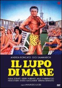 Il lupo di mare di Maurizio Lucidi - DVD