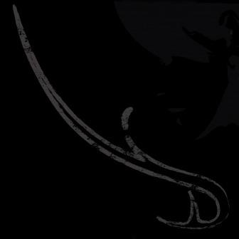 D - CD Audio di Douge