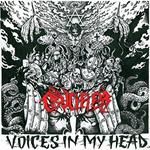 Voices In My Head
