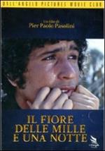 Il fiore delle Mille e una Notte