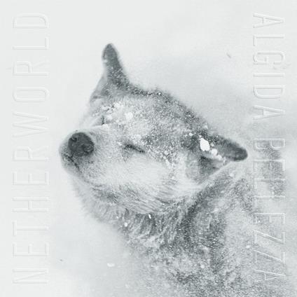 Algida Bellezza - CD Audio di Netherworld