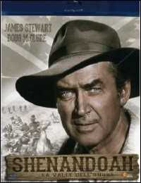 Film Shenandoah, la valle dell'onore Andrew V. McLaglen