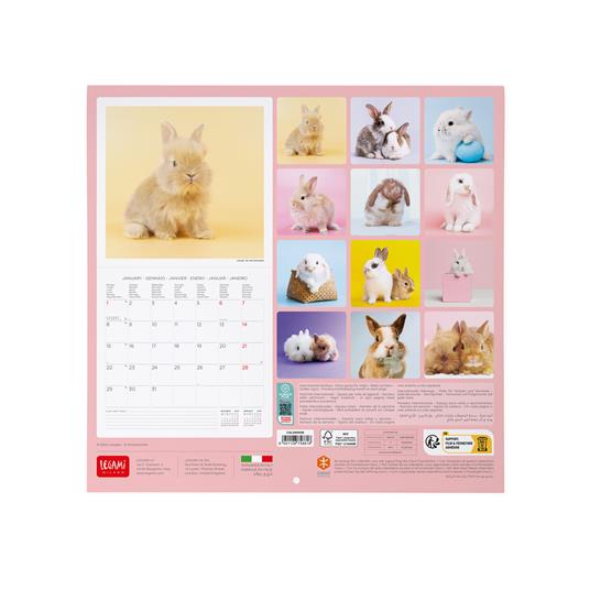 Calendario 2024, da parete, 30 x 29 cm HONEY BUNNY - 3