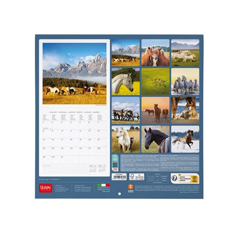 Calendario 2024, da parete, 30 x 29 cm WILD HORSES - 3