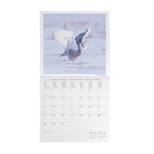 Calendario 2024, da parete, 30 x 29 cm OUTSTANDING OWLS - 2