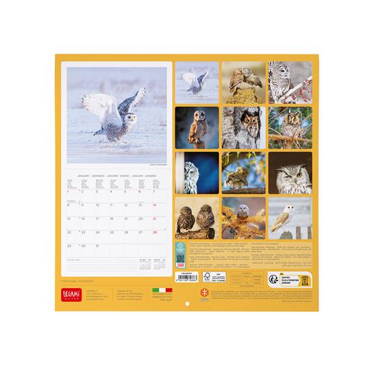 Calendario 2024, da parete, 30 x 29 cm OUTSTANDING OWLS - 3