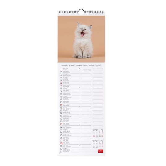 Calendario 2024, da parete, 16 x 49 cm KITTENS - 2