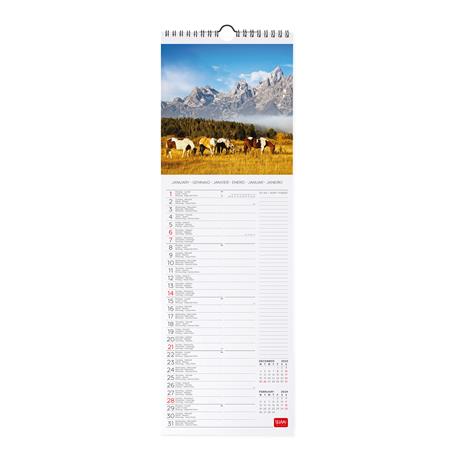 Calendario 2024, da parete, 16 x 49 cm WILD HORSES - 2