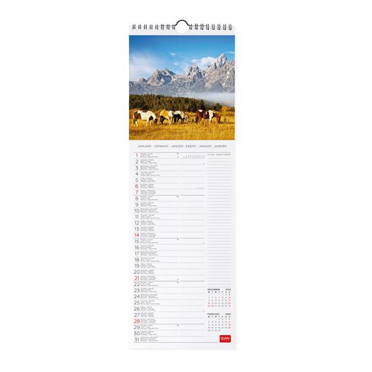 Calendario 2024, da parete, 16 x 49 cm WILD HORSES - 2