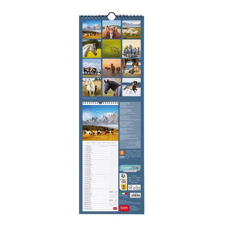 Calendario 2024, da parete, 16 x 49 cm WILD HORSES - 3