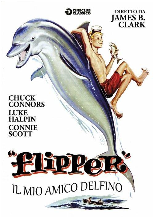 Flipper. Il mio amico delfino di James B. Clark - DVD