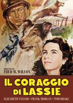 Il coraggio di Lassie (DVD)