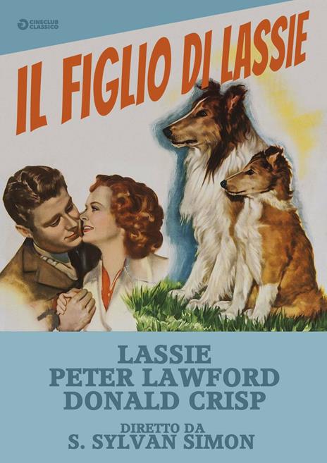 Il figlio di Lassie (DVD) di Sylvan Simon - DVD