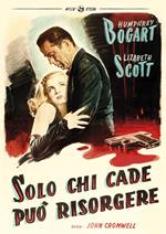 Solo chi cade può risorgere (DVD)