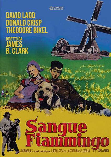 Sangue fiammingo (DVD) di James B. Clark - DVD