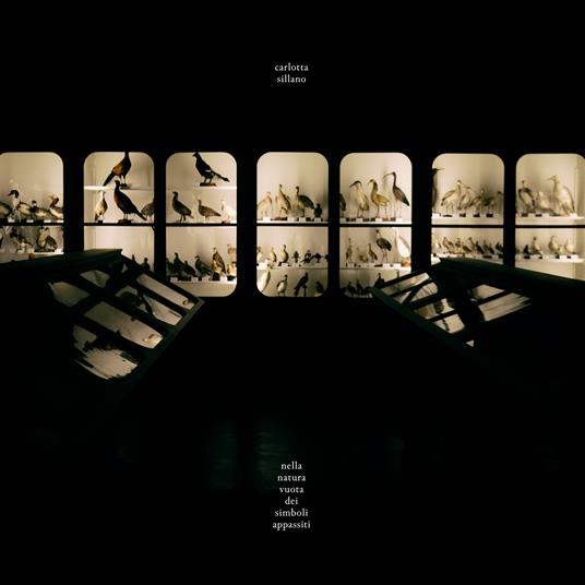 Nella Natura Vuota Dei Simboli Appassiti - Vinile LP di Carlotta Sillano
