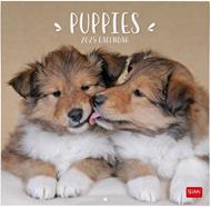 Calendario da Muro 2025 Legami - Puppies - 30 x 29