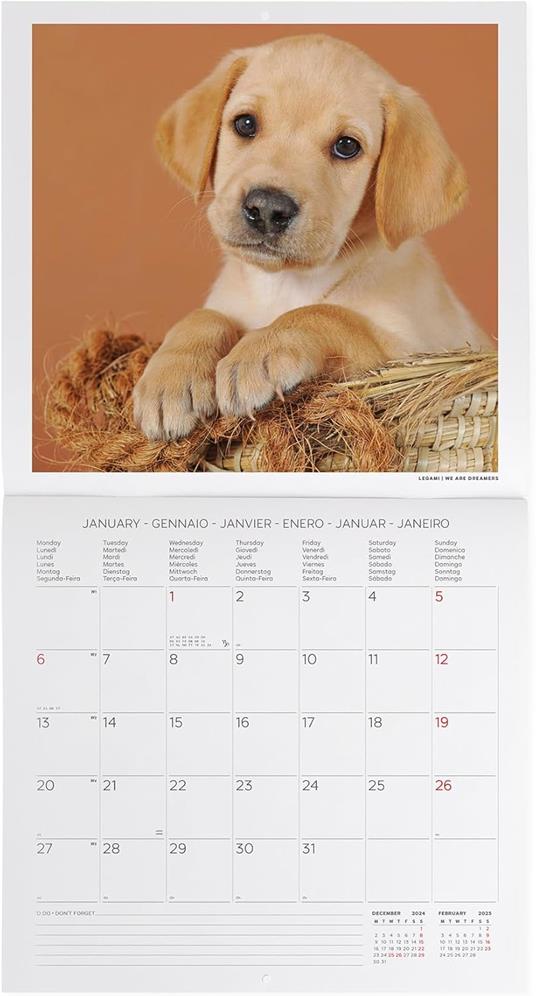 Calendario da Muro 2025 Legami - Puppies - 30 x 29 - 2