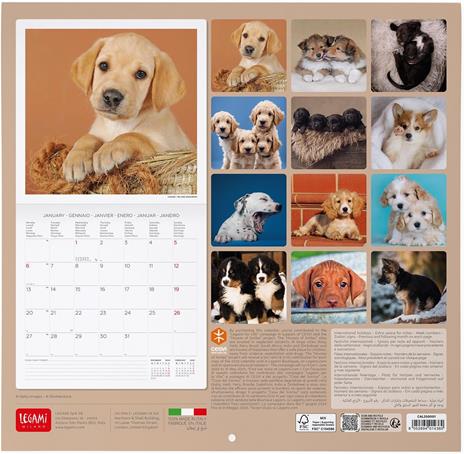 Calendario da Muro 2025 Legami - Puppies - 30 x 29 - 3