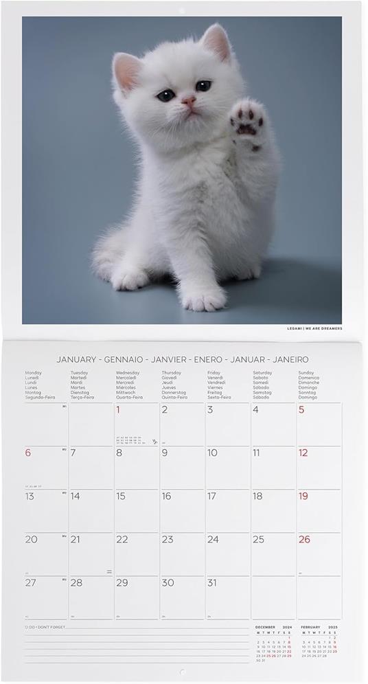 Calendario da Muro 2025 Legami - Kittens - 30 x 29 - 2