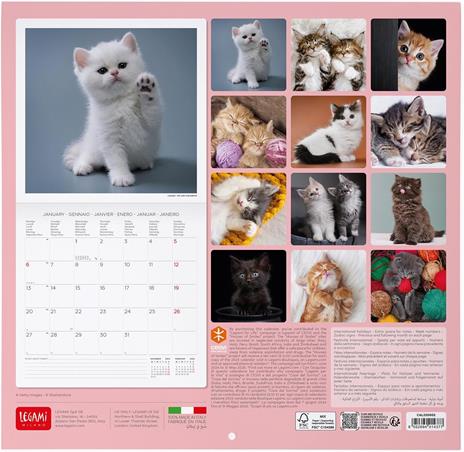 Calendario da Muro 2025 Legami - Kittens - 30 x 29 - 3