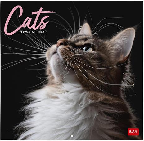 Calendario 2026 da Parete  - Cats - 30 x 29 cm