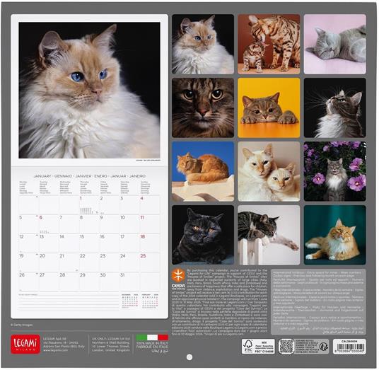 Calendario 2026 da Parete  - Cats - 30 x 29 cm - 3