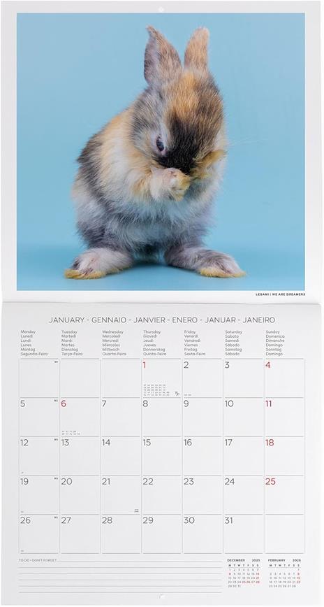 Calendario 2026 da Parete  - Honey Bunny - 30 x 29 cm - 2