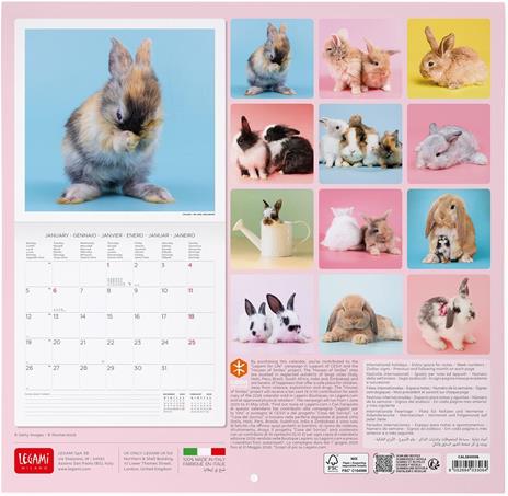 Calendario 2026 da Parete  - Honey Bunny - 30 x 29 cm - 3