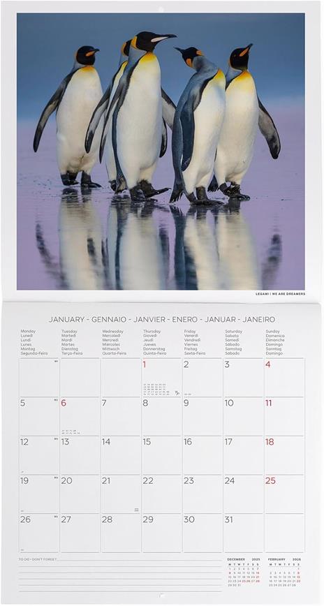 Calendario 2026 da Parete  - Penguins - 30 x 29 cm - 2