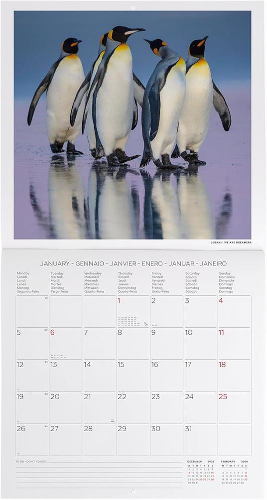 Calendario 2026 da Parete  - Penguins - 30 x 29 cm - 2