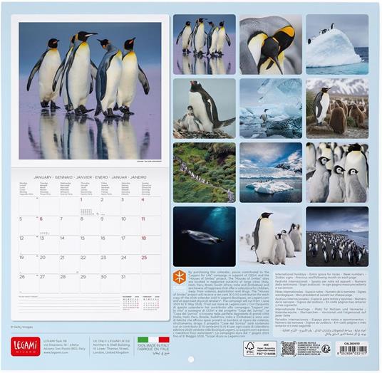 Calendario 2026 da Parete  - Penguins - 30 x 29 cm - 3