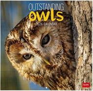 Calendario 2026 da Parete  - Outstanding Owls - 30 x 29 cm