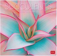 Calendario 2026 da Parete  - Succulents - 30 x 29 cm