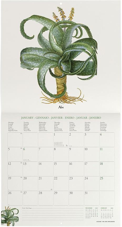 Calendario 2026 da Parete  - Herbarium - 30 x 29 cm - 2
