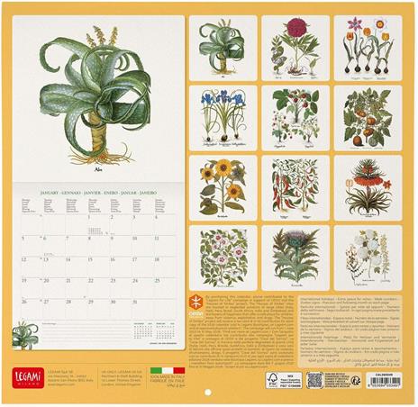 Calendario 2026 da Parete  - Herbarium - 30 x 29 cm - 3