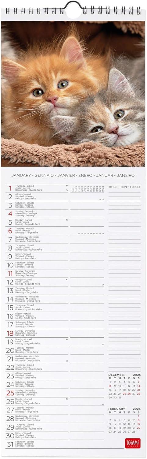 Calendario 2026 da Parete  - Kittens - 16 x 49 cm - 2