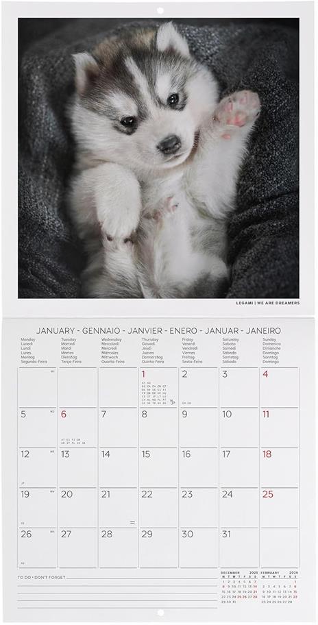 Calendario 2026 da Parete  - Puppies - 18 x 18 cm - 2