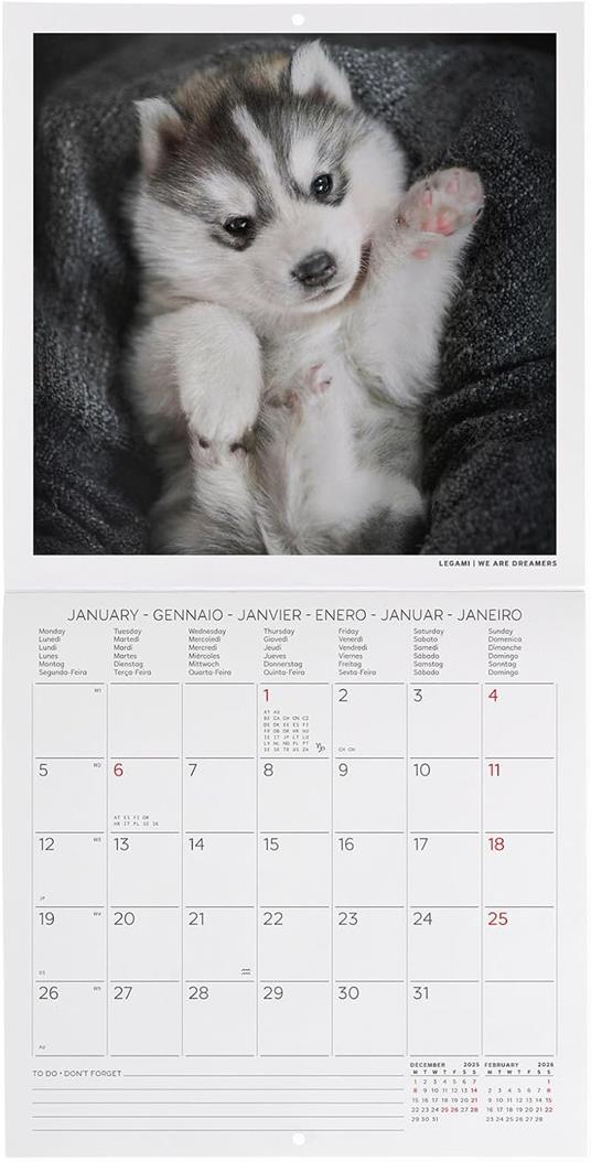 Calendario 2026 da Parete  - Puppies - 18 x 18 cm - 2