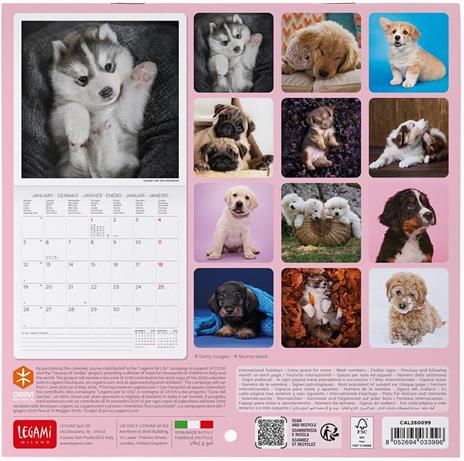 Calendario 2026 da Parete  - Puppies - 18 x 18 cm - 3