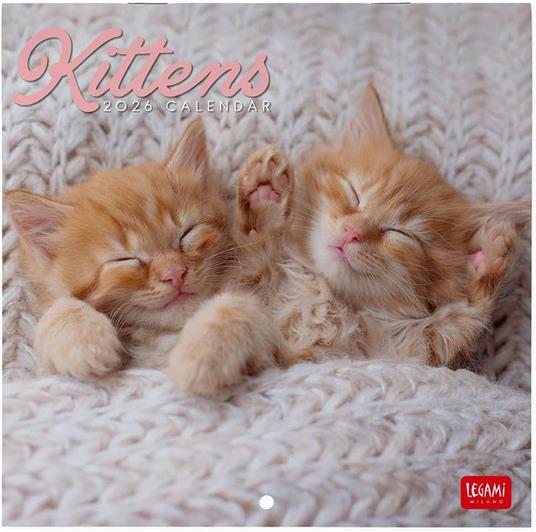 Calendario 2026 da Parete  - Kittens - 18 x 18 cm