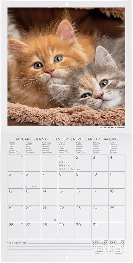 Calendario 2026 da Parete  - Kittens - 18 x 18 cm - 2