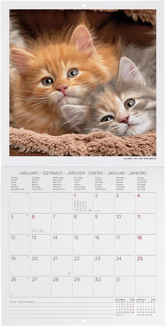 Calendario 2026 da Parete  - Kittens - 18 x 18 cm - 2