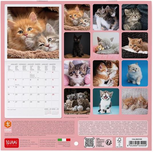 Calendario 2026 da Parete  - Kittens - 18 x 18 cm - 3