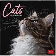 Calendario 2026 da Parete  - Cats - 18 x 18 cm
