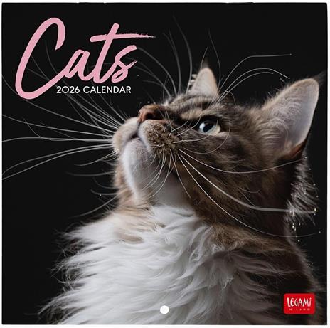 Calendario 2026 da Parete  - Cats - 18 x 18 cm