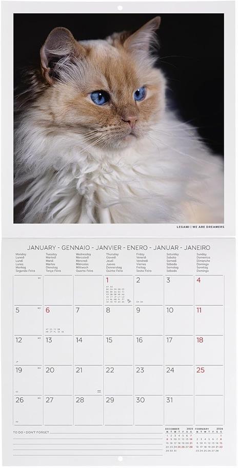 Calendario 2026 da Parete  - Cats - 18 x 18 cm - 2