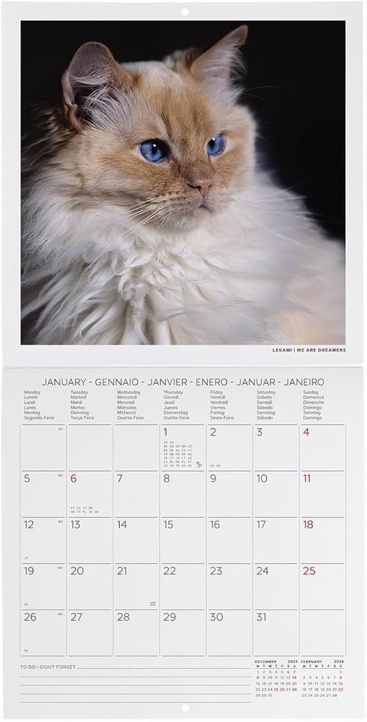 Calendario 2026 da Parete  - Cats - 18 x 18 cm - 2